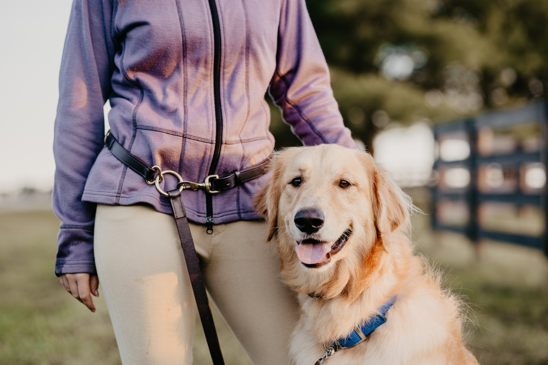 GG Hands-Free Leather &amp; Brass Dog Leash