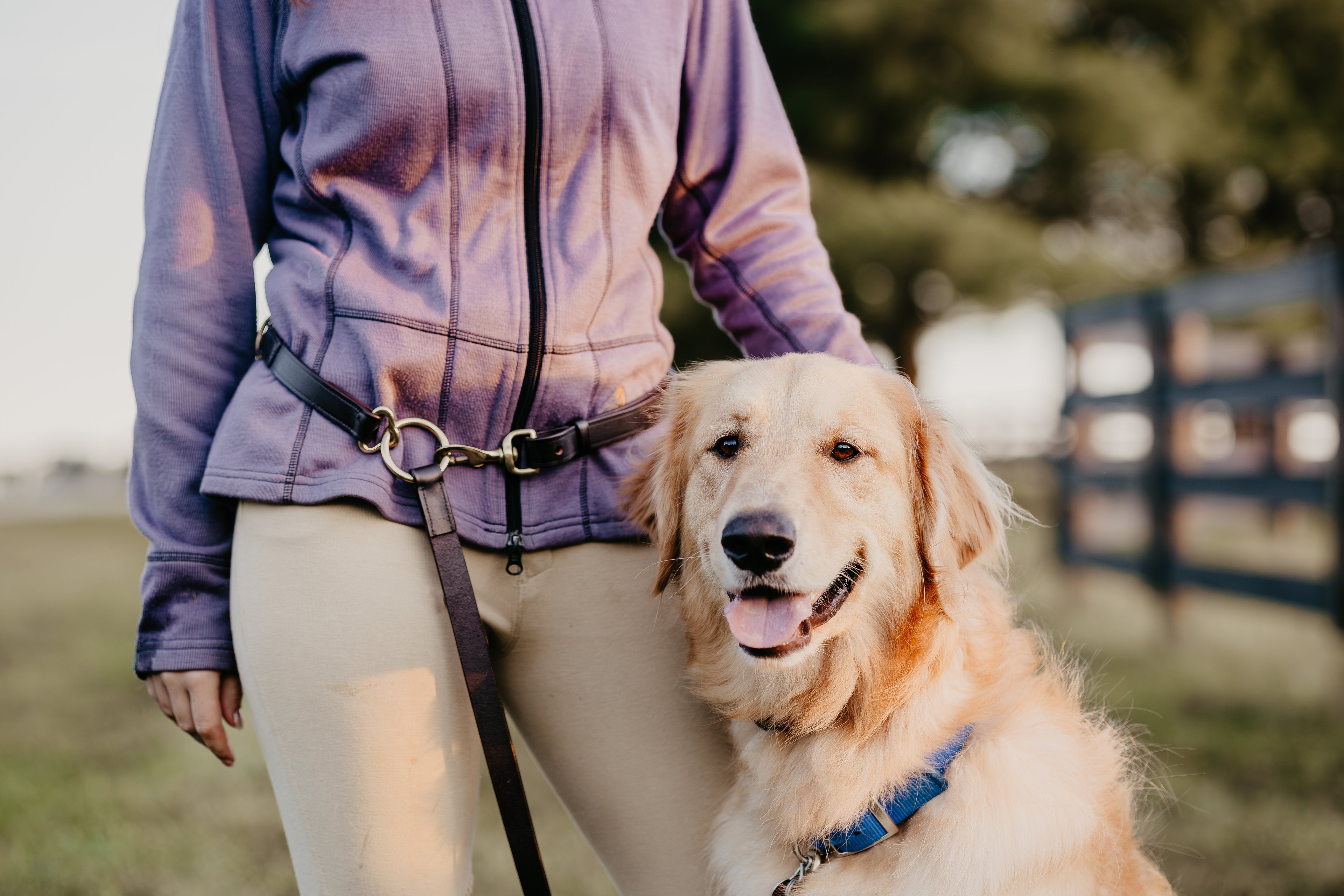 GG Hands-Free Leather &amp; Brass Dog Leash