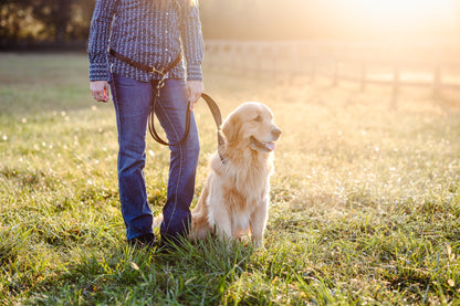 GG Hands-Free Leather &amp; Brass Dog Leash