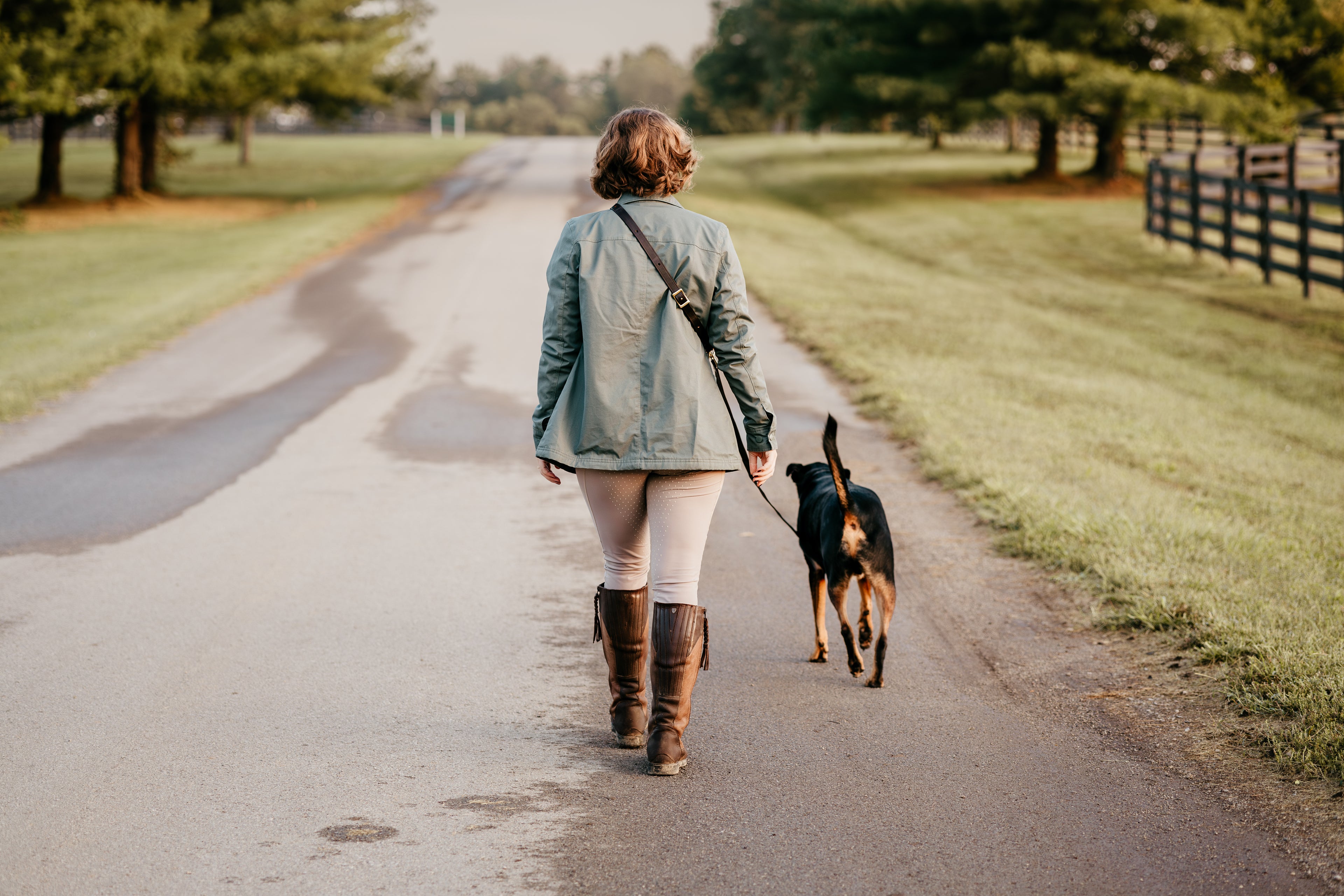 GG Hands-Free Leather &amp; Brass Dog Leash