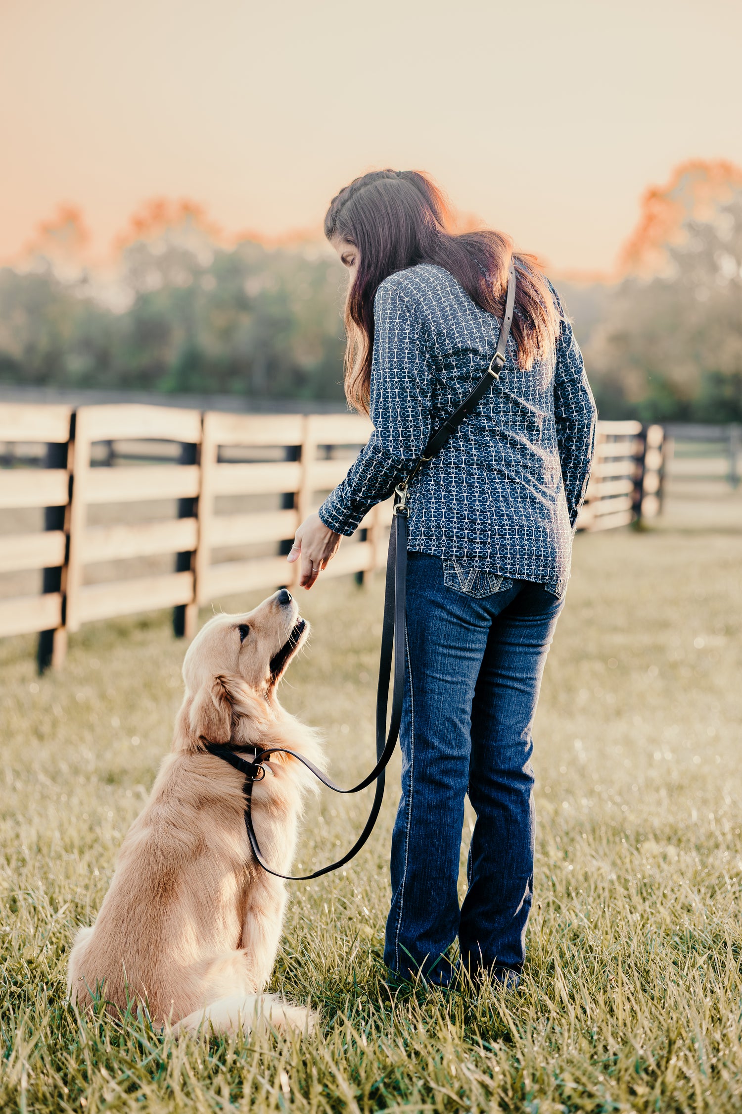 GG Hands-Free Leather &amp; Brass Dog Leash