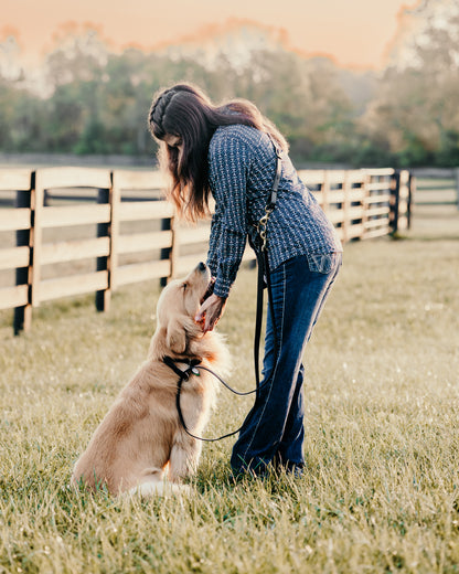 GG Hands-Free Leather &amp; Brass Dog Leash