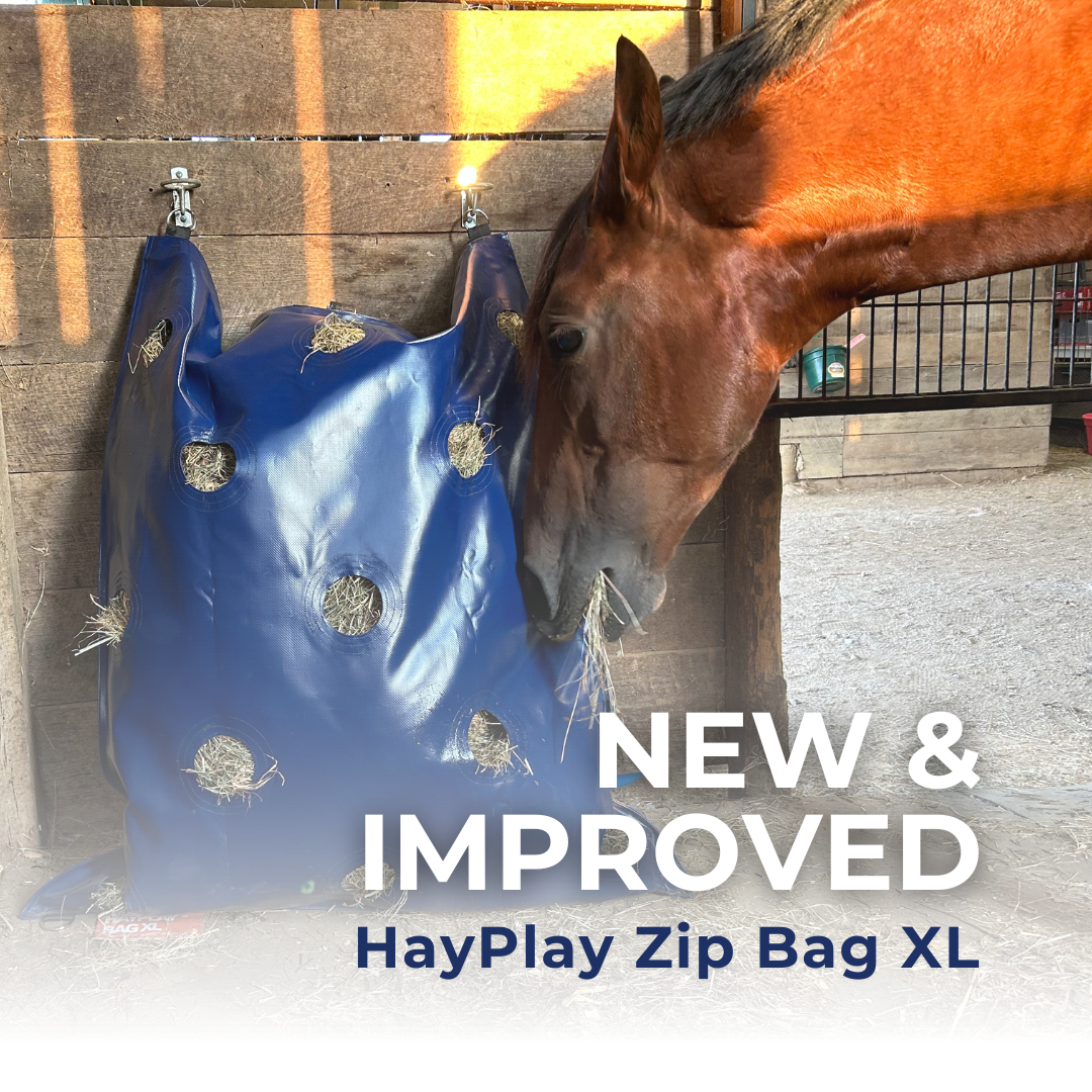 Horse hay bag slow feed