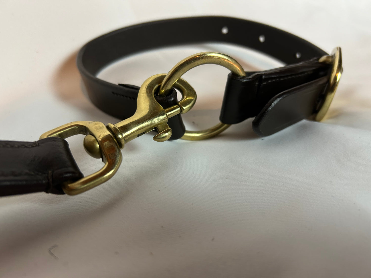 GG Premium Leather Dog Collar