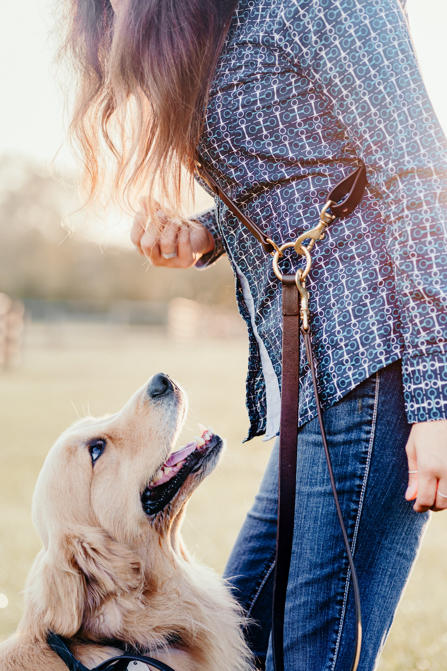 GG Hands-Free Leather &amp; Brass Dog Leash