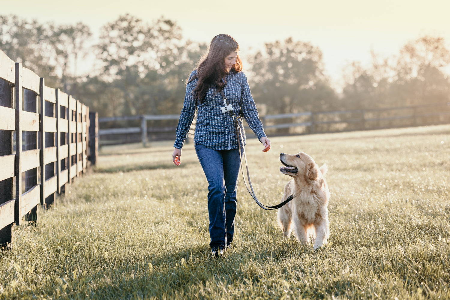 GG Hands-Free Leather &amp; Brass Dog Leash