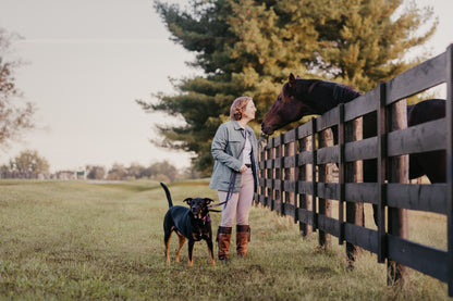 GG Hands-Free Leather &amp; Brass Dog Leash