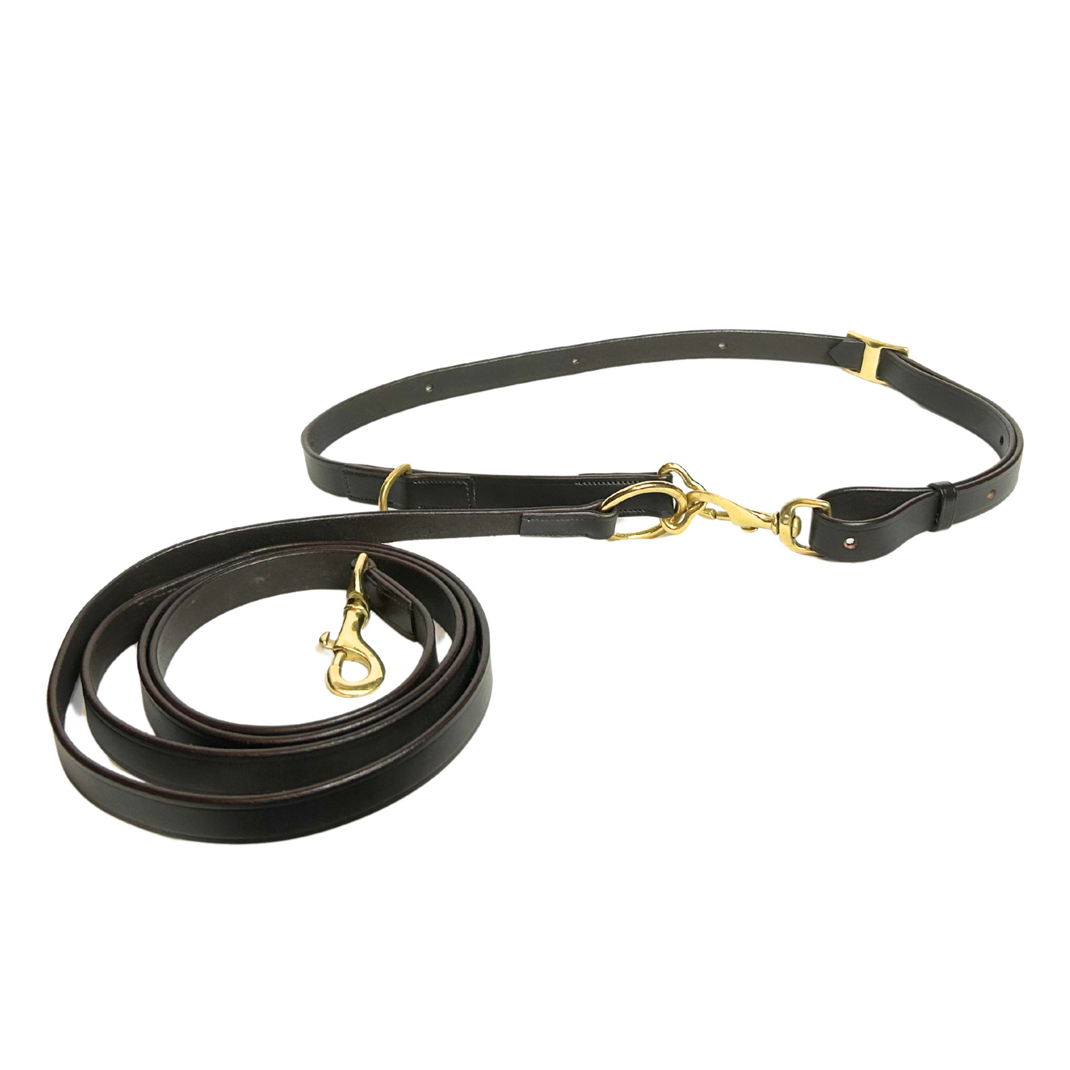 GG Hands-Free Leather &amp; Brass Dog Leash