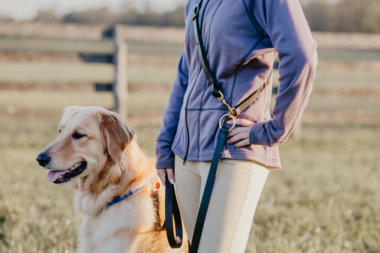 GG Hands-Free Leather &amp; Brass Dog Leash