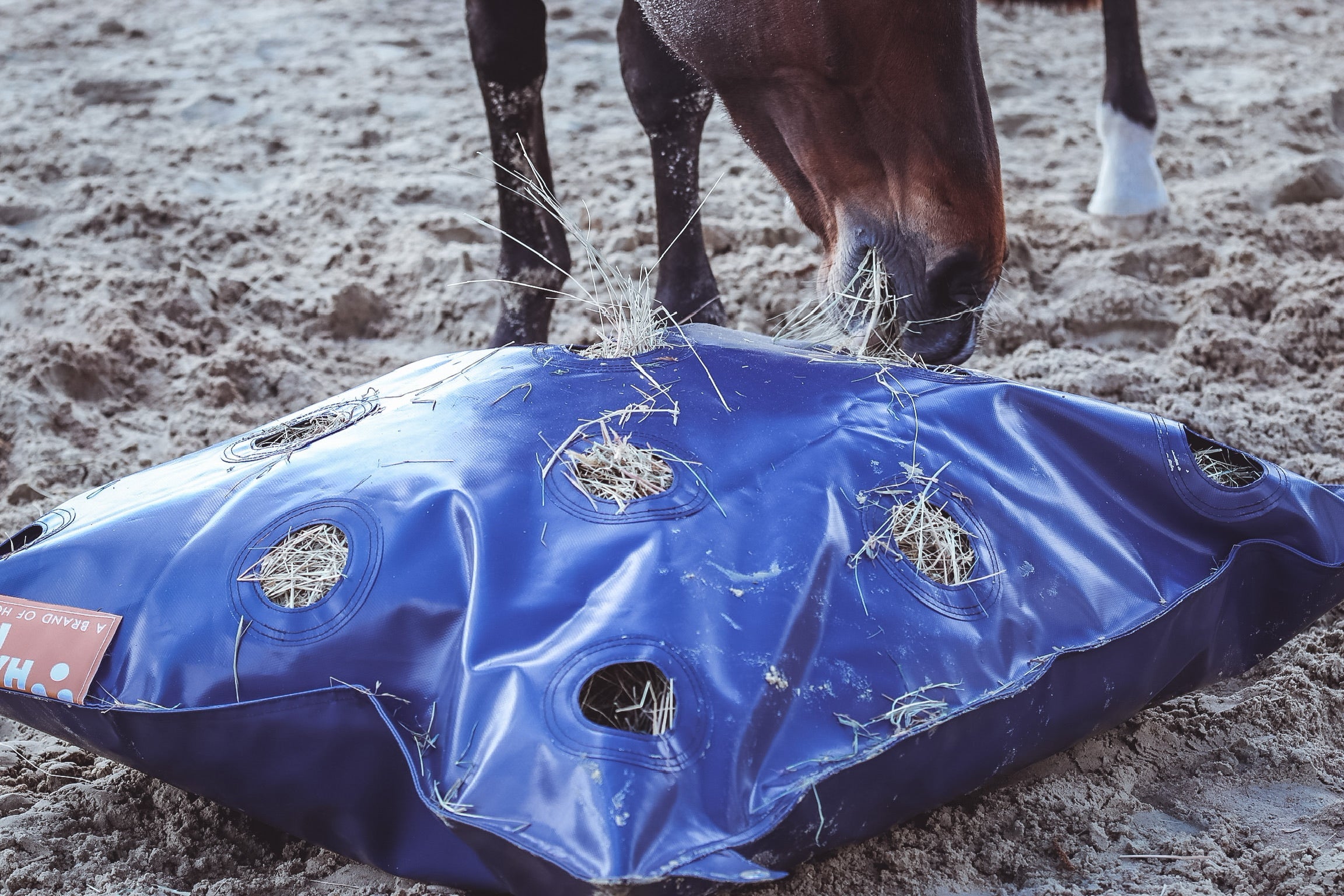 Horse hay discount bags for sale