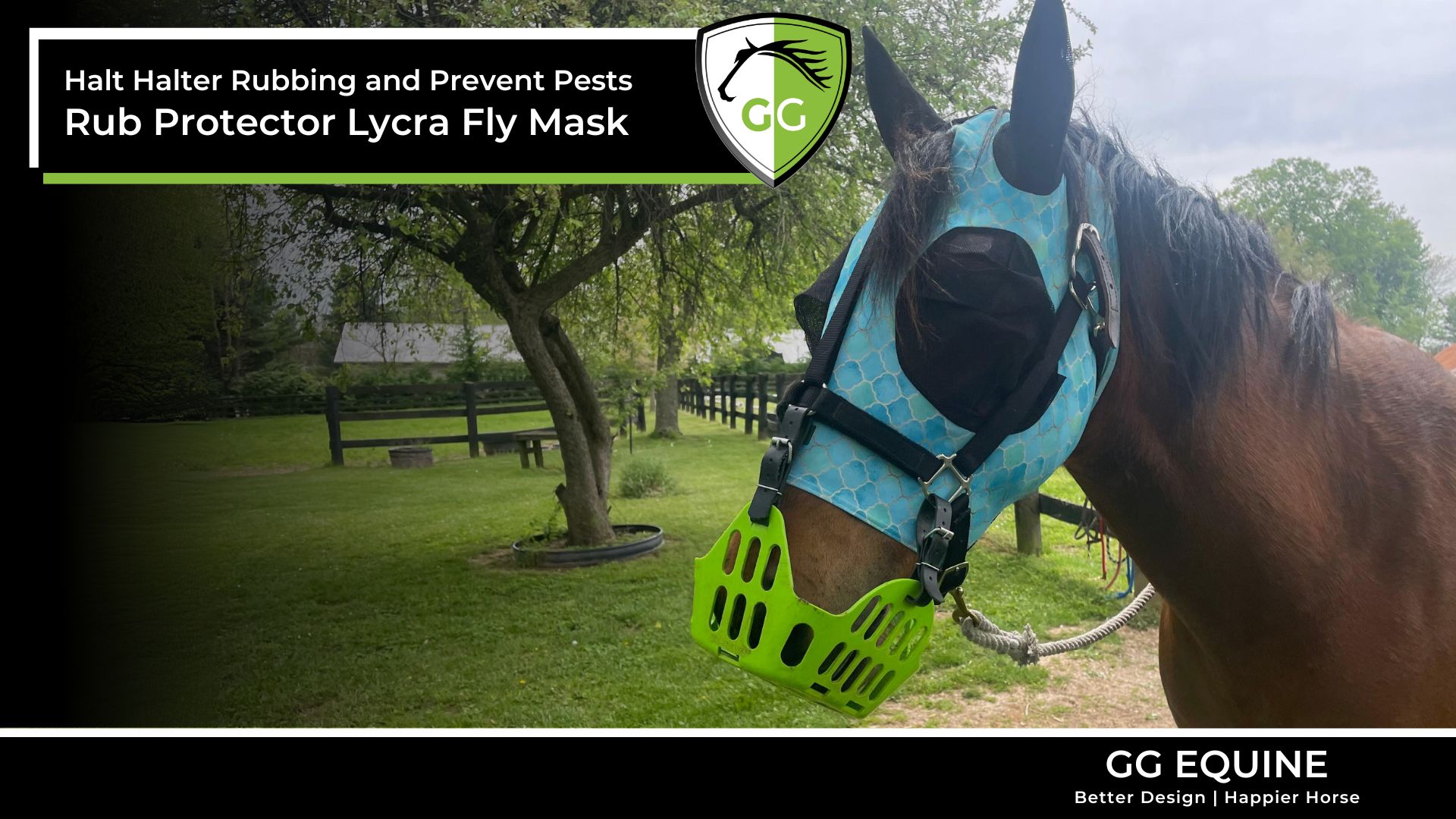 Load video: The GG Rub Protector Fly Mask prevents halter rubbing and keeps bugs away from your horse&#39;s face!