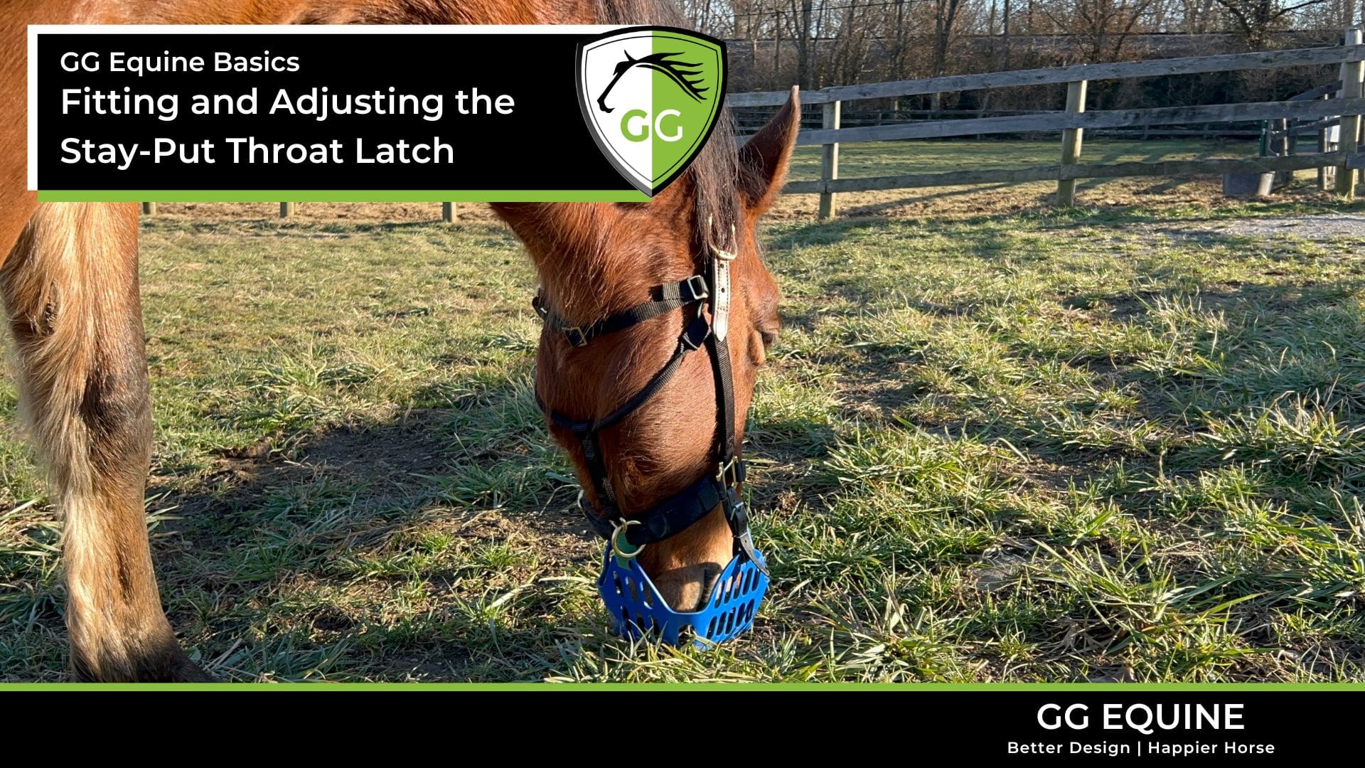 Cargar vídeo: Full tutorial and instruction video for setting up and adjusting the Houdini Helper Stay-Put Throat Latch for Horses.